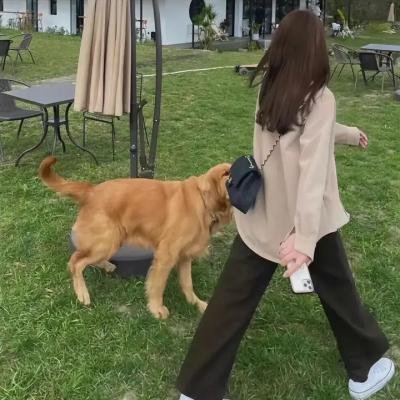 女刑警 海报